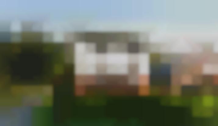 Wierzytelność hipoteczna zabezpieczona na domu mieszkalnym – Szwedów, gmina Kamesznica - Kamesznica - sprzedaż wierzytelności hipotecznych - 1