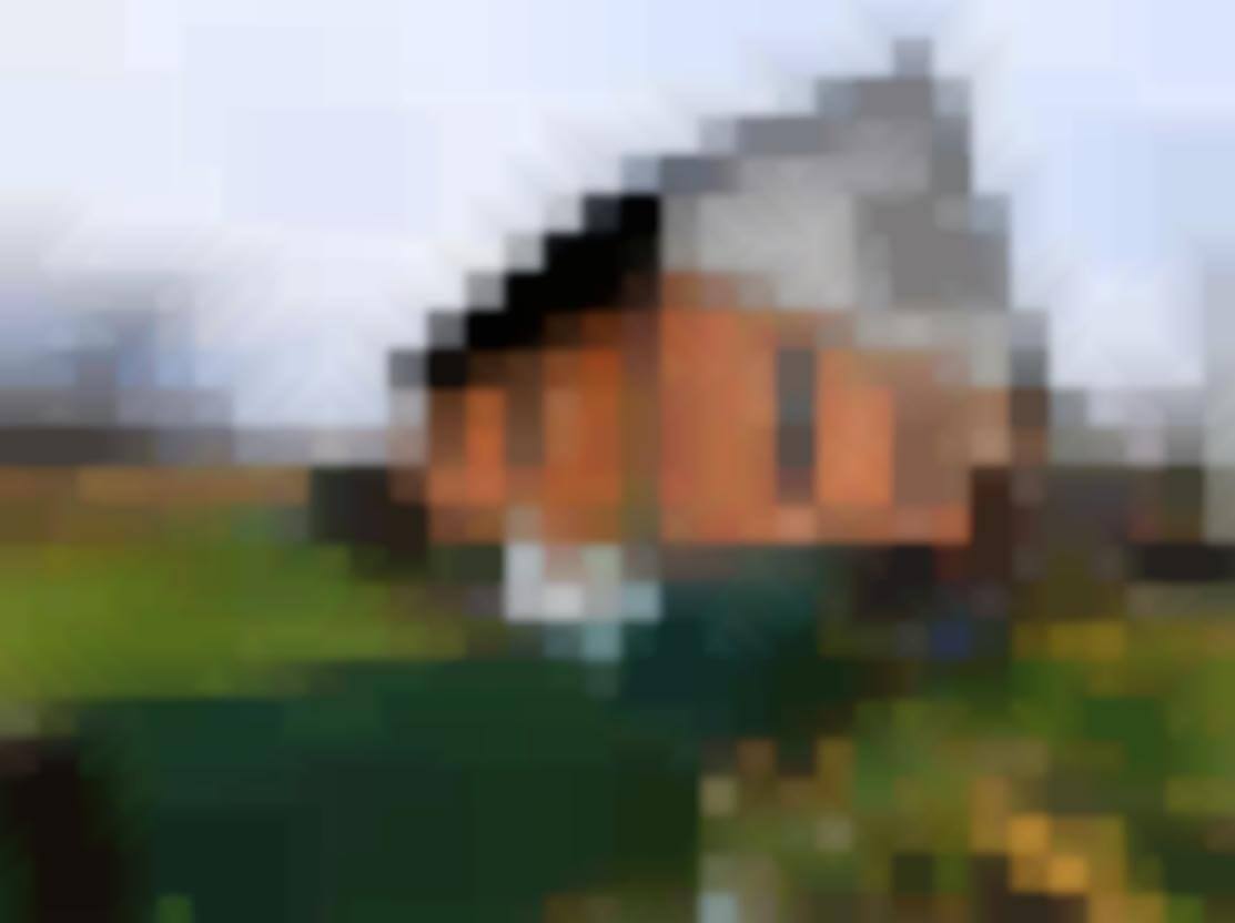 Duży lokal mieszkalny o pow. 107,90 mkw, Lubomia, woj. śląskie - Lubomia - sprzedaż wierzytelności hipotecznych - 1