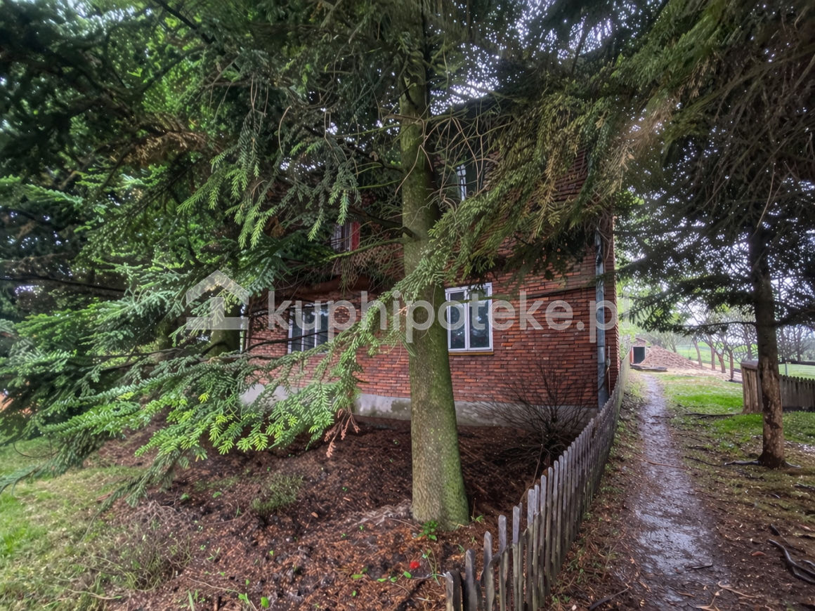 Dom jednorodzinny z cegły, ogród z drzewami iglastymi i ogrodzeniem, sprzedaż wierzytelnośći