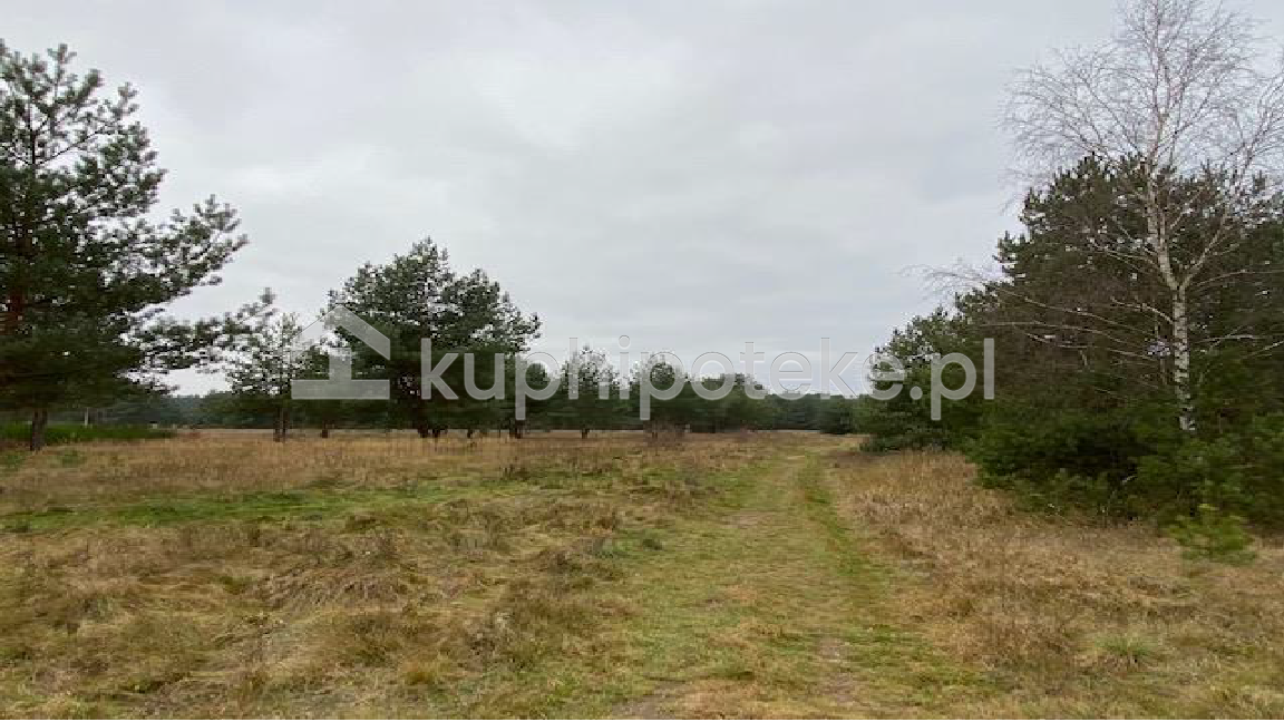 Grunt pod inwestycję w Trzebieniu niedaleko Bolesławca - sprzedaż długu hipotecznego