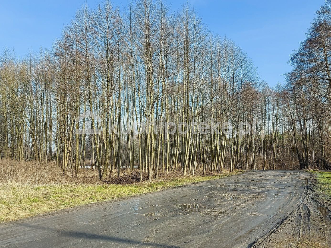 Trzy działki blisko Łodzi, w Makowie, sprzedaż długu, kuphipoteke