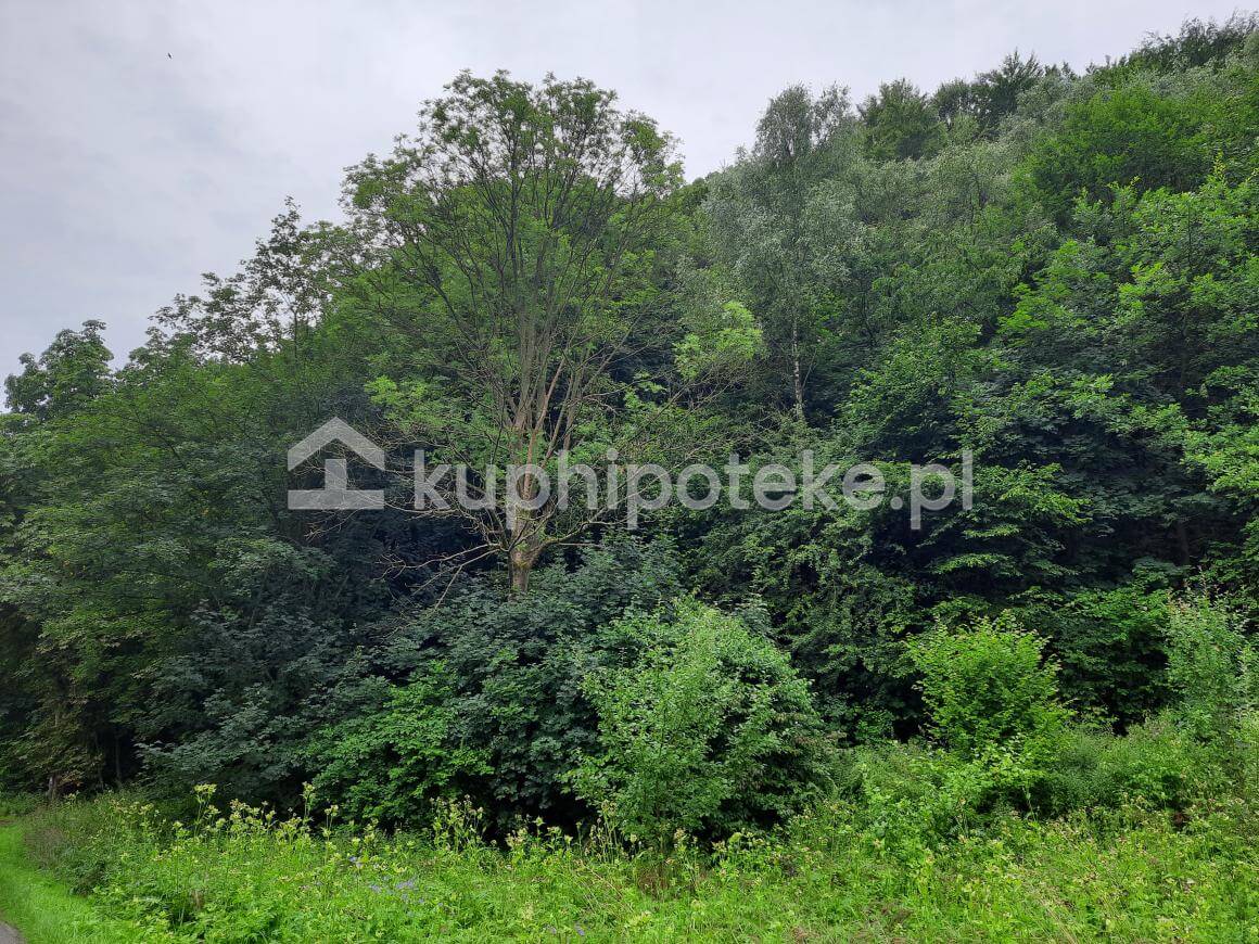 działka zalesiona Prądnik Korzkiewski – wierzytelność hipoteczna na sprzedaż