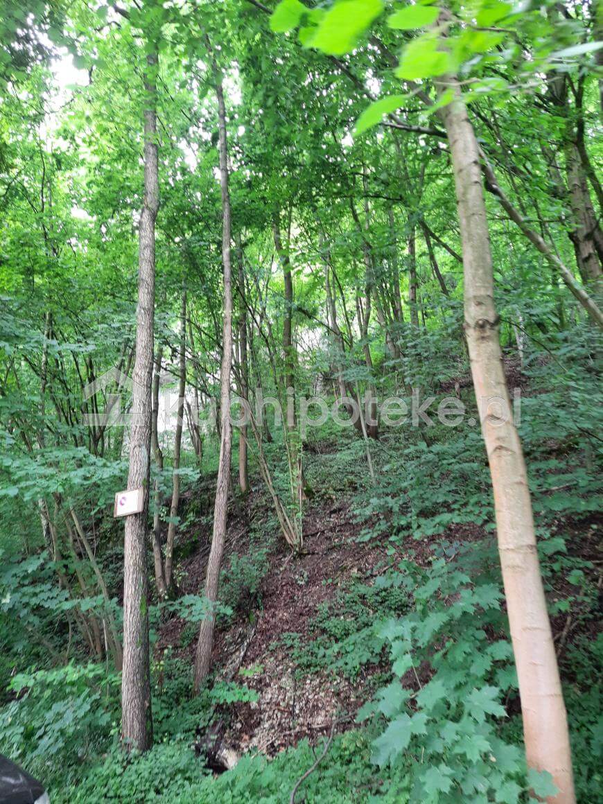 działka zalesiona Prądnik Korzkiewski – wierzytelność hipoteczna na sprzedaż