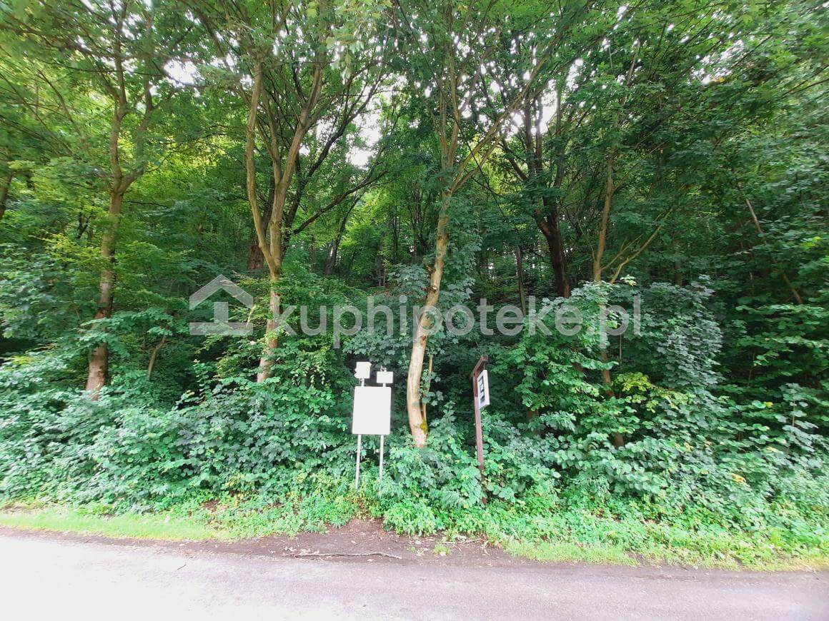 działka zalesiona Prądnik Korzkiewski – wierzytelność hipoteczna na sprzedaż