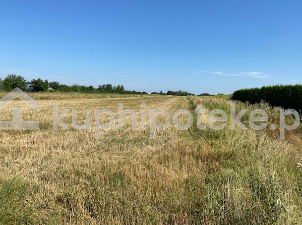 Działka rolna,  Ciecierzyn, woj. lubelskie, sprzedaż wierzytelności hipotecznej