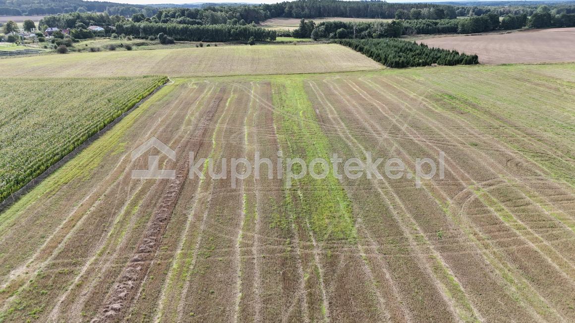 Gościniec Pomorski, Karwin — II licytacja dwóch udziałów - Karwin - licytacje komornicze - 13