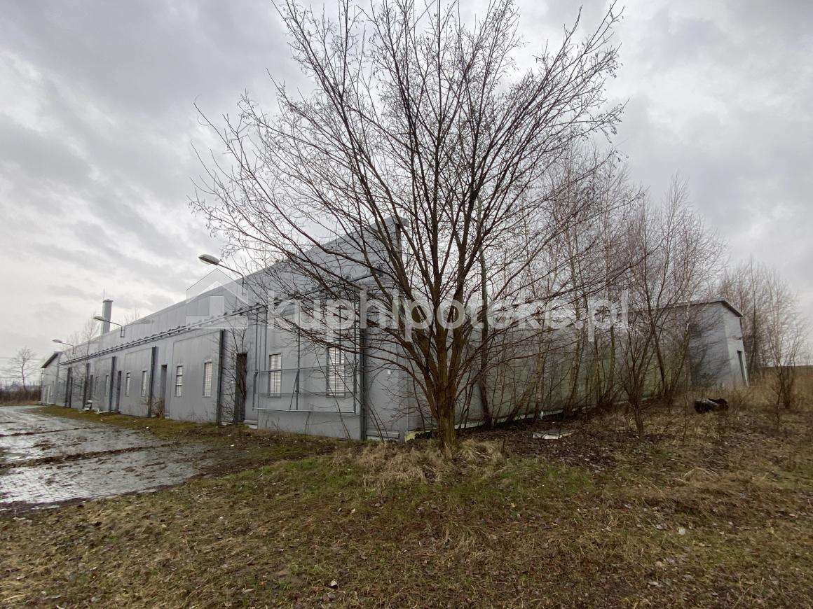 Działka zabudowana budynkiem pełniącym funkcję pieczarkarni w Słabęcinie - Słabęcin - sprzedaż wierzytelności hipotecznych - 2