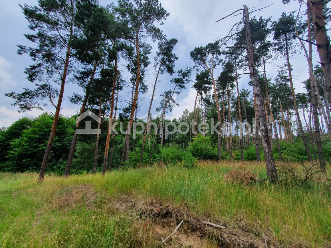 Działka budowlana pod Wrześnią - Opatówko - sprzedaż wierzytelności hipotecznych - 2