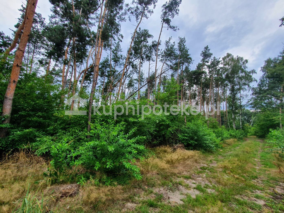 Grunt z przeznaczeniem pod zabudowę pod Wrześnią - sprzedaż wierzytelności hipotecznej