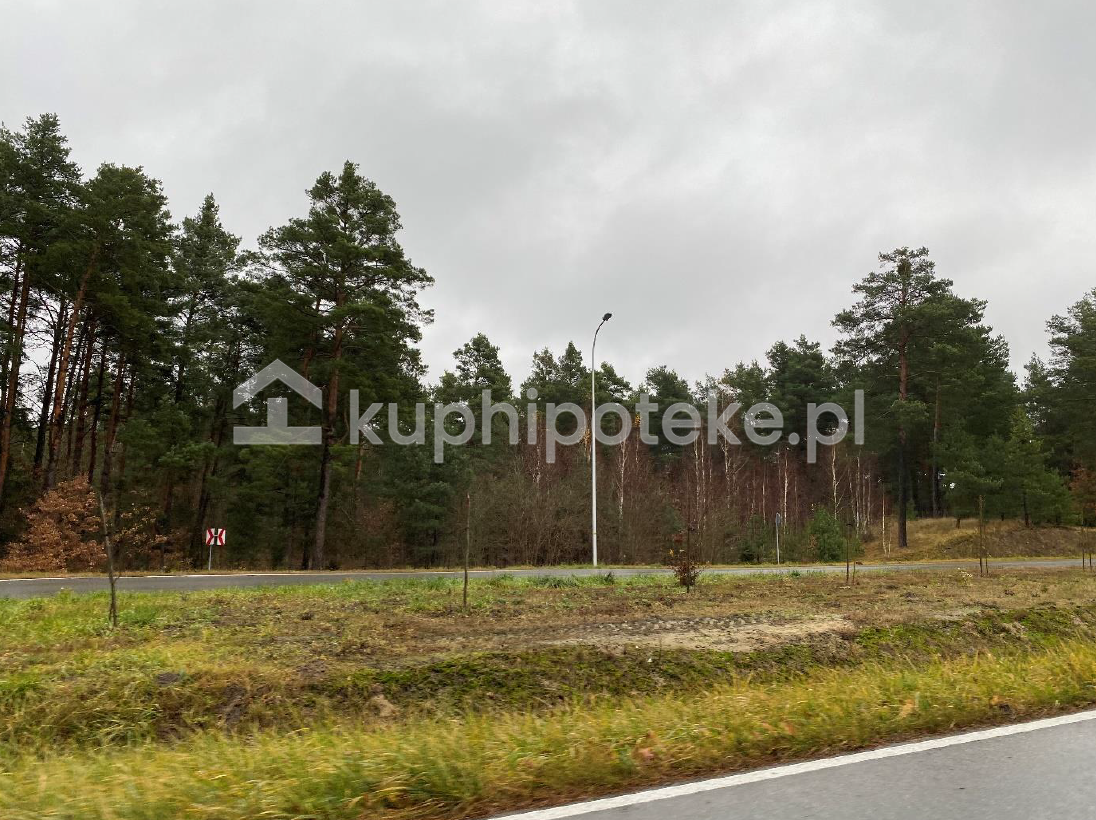 Grunty niezabudowane Kolonia Kuźnia - sprzedaż wierzytelności hipotecznej