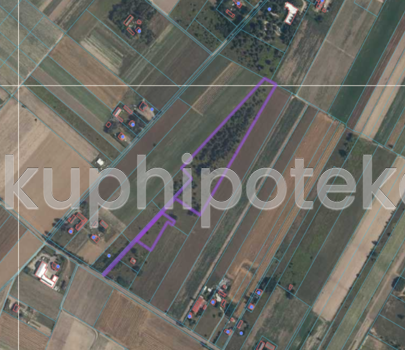 Działki rolne o powierzchni 2,6480 ha – Trębki Nowe - Trębki Nowe - sprzedaż wierzytelności hipotecznych - 2