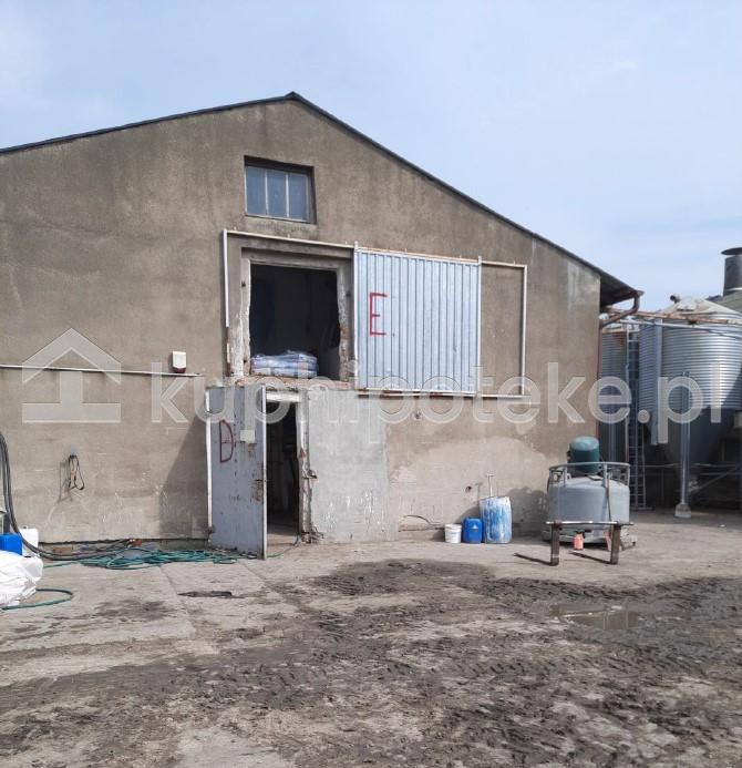 Zabudowania gospodarcze, dom, duża działka, Kłecko, wielkopolskie - sprzedaż wierzytelności hipotecznej