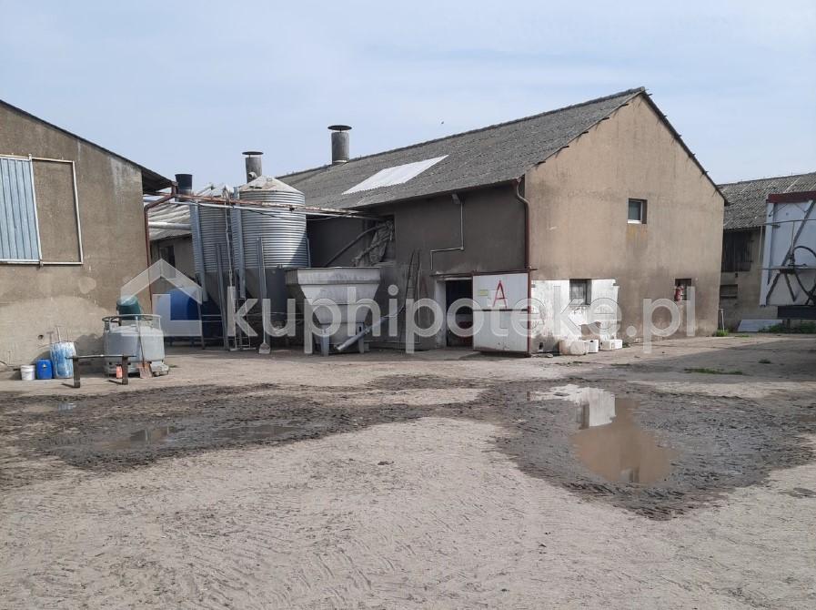 Dom z zabudowaniami gospodarczymi, duża działka, Kłecko, wielkopolskie -  sprzedaż wierzytelności zabezpiecznej.