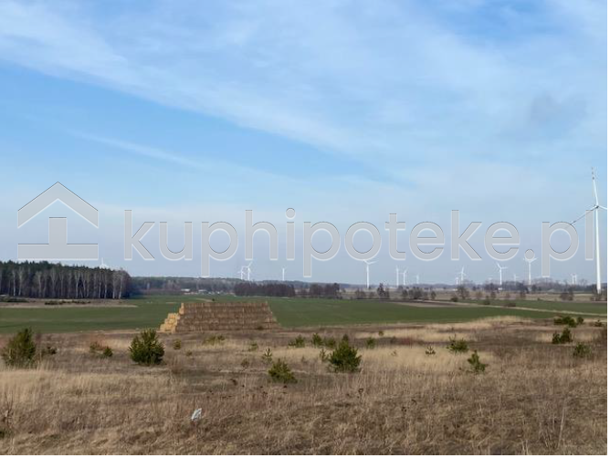 działka rolna Sypniewo – wierzytelność hipoteczna na sprzedaż