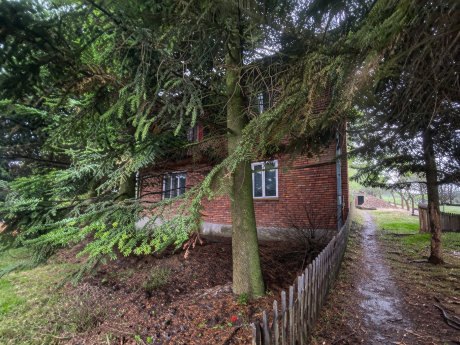 Dom z zabudową gospodarczą na dużej działce - Bobin