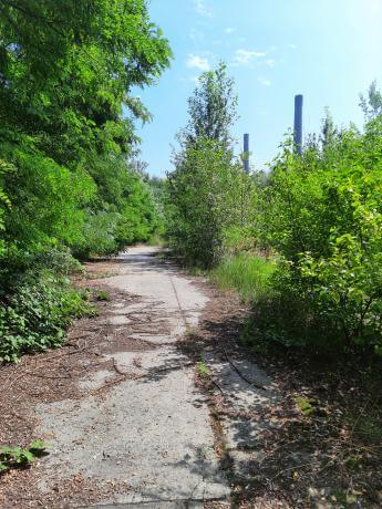 Działka na obrzeżach Bytomia – teren w sąsiedztwie zabudowy przemysłowej
