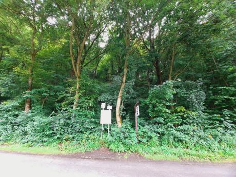 Działka zalesiona ze skałkami wapiennymi – Prądnik Korzkiewski, gm. Wielka Wieś