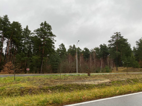 Grunty zalesione w miejscowości Kolonia Kuźnia - przy drodze ekspresowej S7.